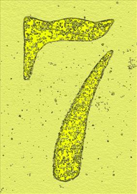 seven chance