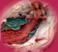 angel3 