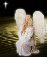 angel 21 