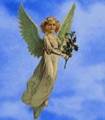 angel 4
