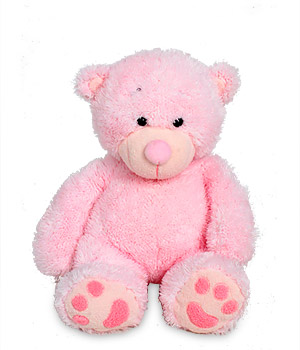 Pink teddy