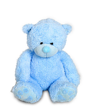 blue teddy