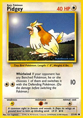 016 - Pidgey