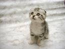 CUTE!!