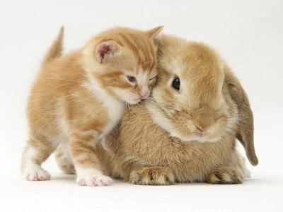 Friends Forever