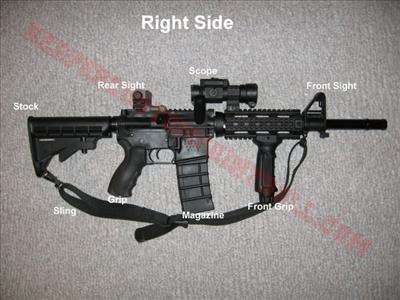 gun