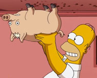 Homer: http://www.facebook.com/Bart.Simpson.Italia