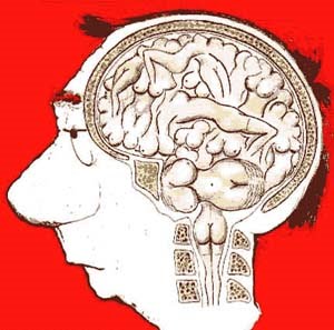 Inteligente