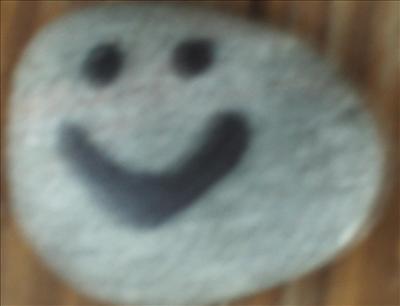 pet rock