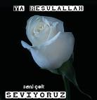 YA RESULALLAH SENİ ÇOK SEVİYORUZ
