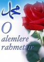 SEN ALEMLERE RAHMETSEN EFENDİMİZ