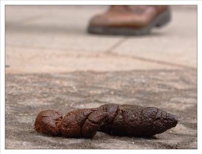 Poop