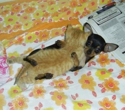 HUGS!
