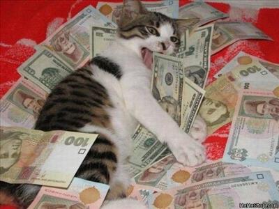 Rich Kitty
