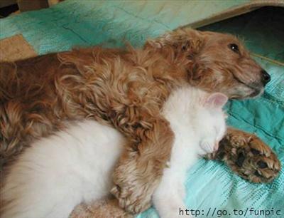 Snuggles