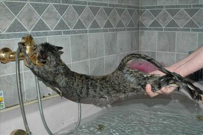 Stretch, No Bath!