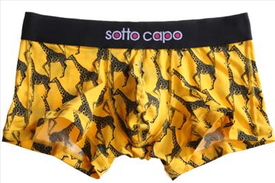 Sotto Capo 4