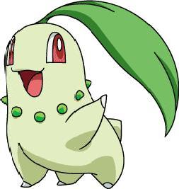 chikorita