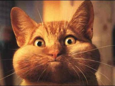 You've just been bArFeD!!!