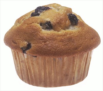 Gluten Free Blueberry Muffin