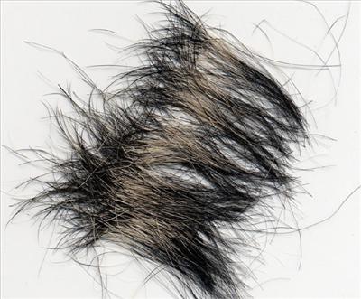 un pelo di cerbiatto