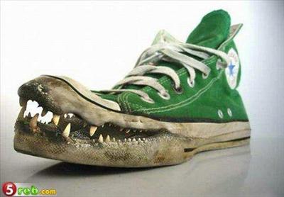 une converse croco