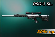 PSG 1