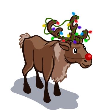 Reindeer