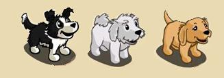 Dogs