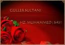 gül5