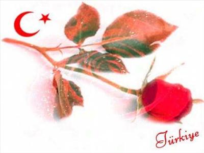 TÜRKİYE-GÜL