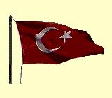 DALGALANAN BAYRAK