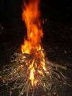 fire log