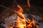 hot dog