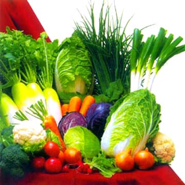 Vegetariano