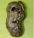 Bronze Peanuts