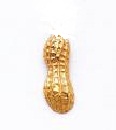 Golden Peanuts