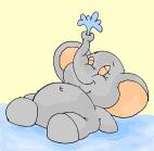 Elefante