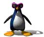 pinguino