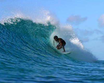 Surf
