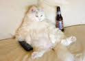 A beer