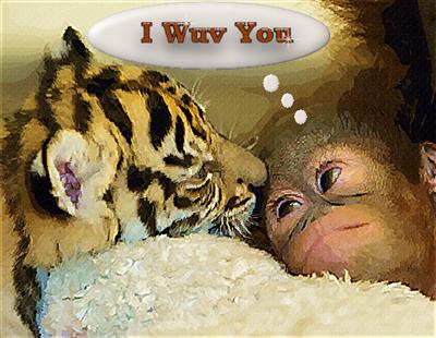 Baby Love