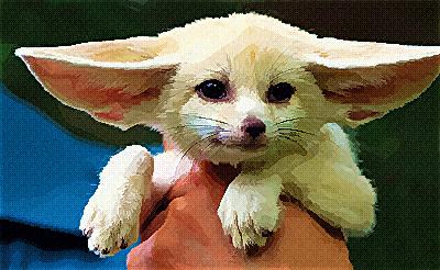 Baby Fennec