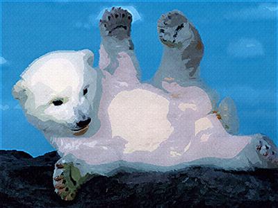Polar Bear Cub