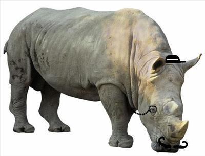 ravenous ravenous rhino