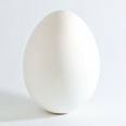 Boiled Egg