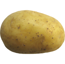 Patata