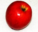 pomme