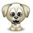 Dog 3