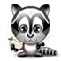 Racoon